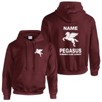 Pegasus Overhead Hoodie